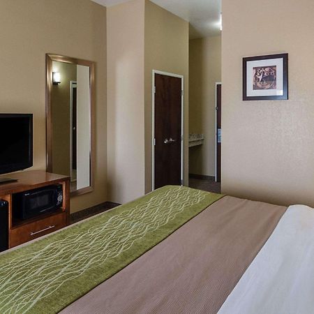 Comfort Inn Midland South I-20 Esterno foto