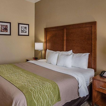 Comfort Inn Midland South I-20 Esterno foto